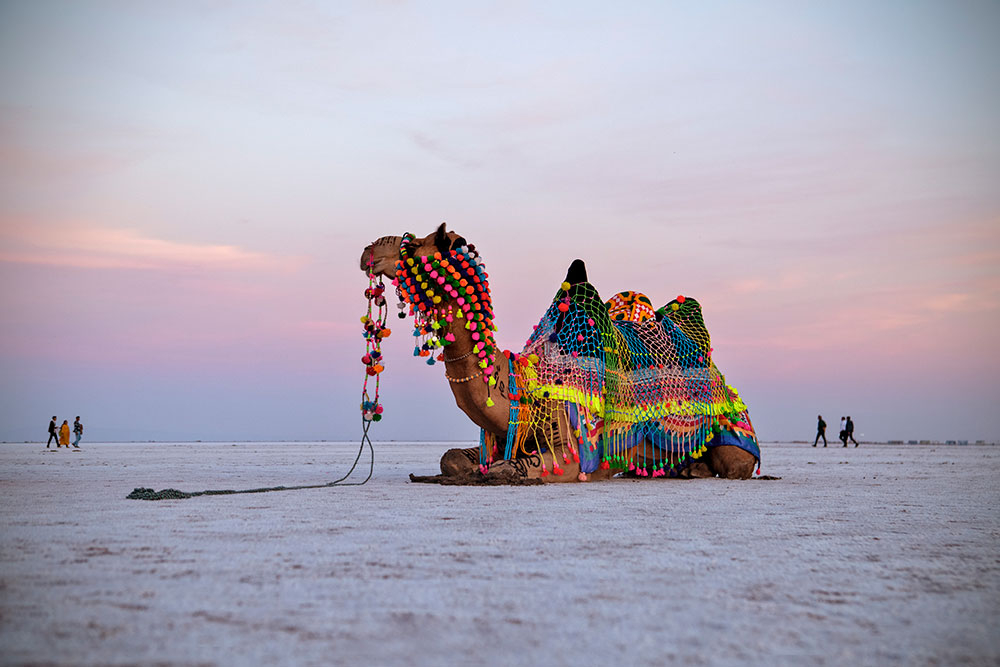 Rann Utsav 202526 - Gujarat